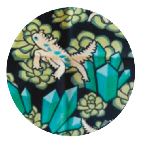 Crystals, Succulents & Lizards Dice Bag