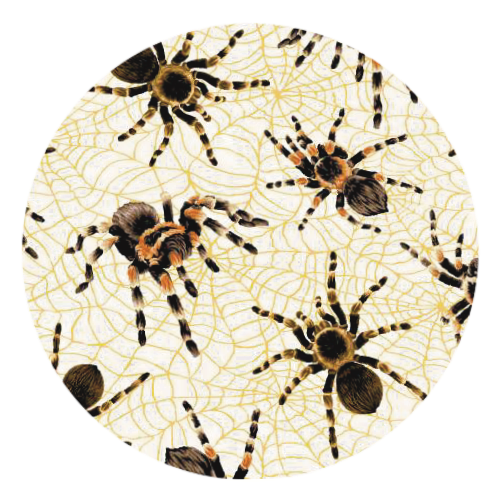 Tarantula Print Dice Bag