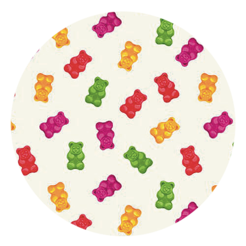 Face Mask Cover - Food & Floral Styles