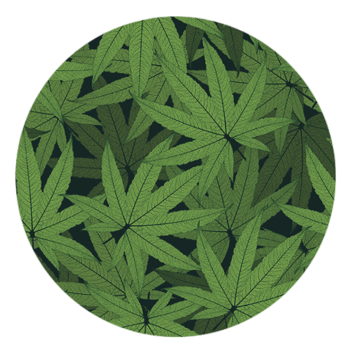 Face Mask Cover - Food & Floral Styles