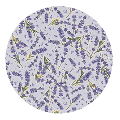 Face Mask Cover - Food & Floral Styles